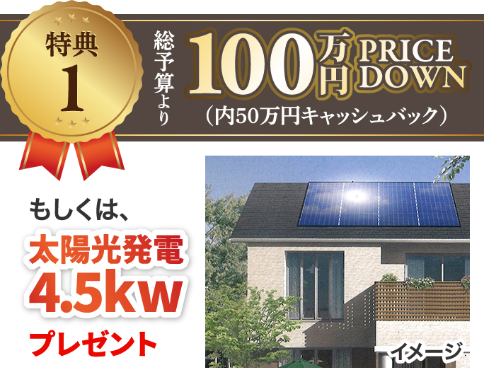 特典1：100万円プライスダウン もしくは、太陽光発電4.5kwプレゼント